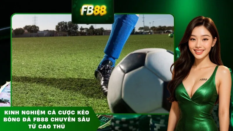 Kinh nghiệm cá cược kèo bóng đá FB88 chuyên sâu từ cao thủ
